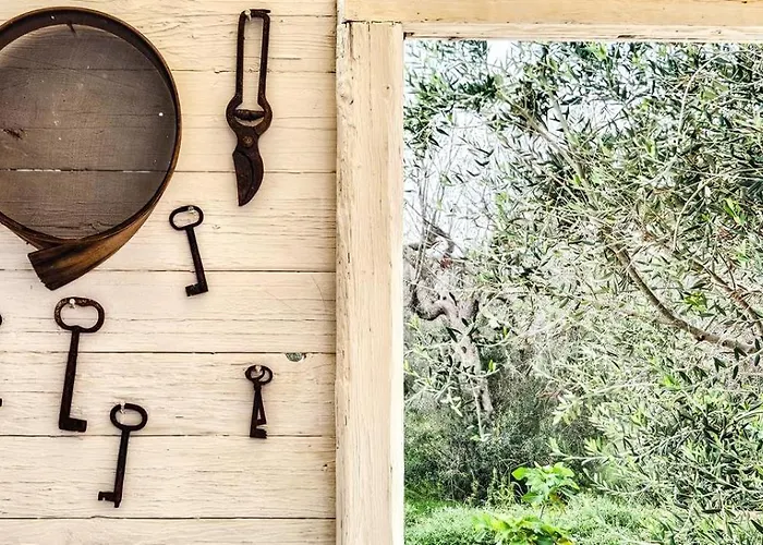 Puloni Oda ve Kahvaltı